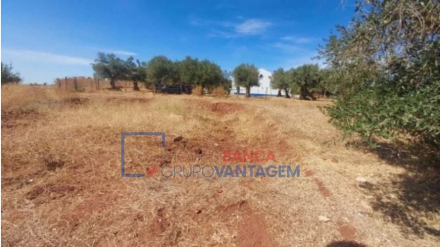 Terreno para Venda em Nossa Senhora da Conceição, São Brás dos Matos, Juromenha Foto 1