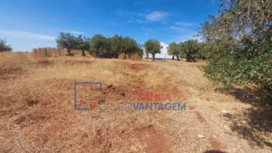 Terreno para Venda em Nossa Senhora da Conceição, São Brás dos Matos, Juromenha
