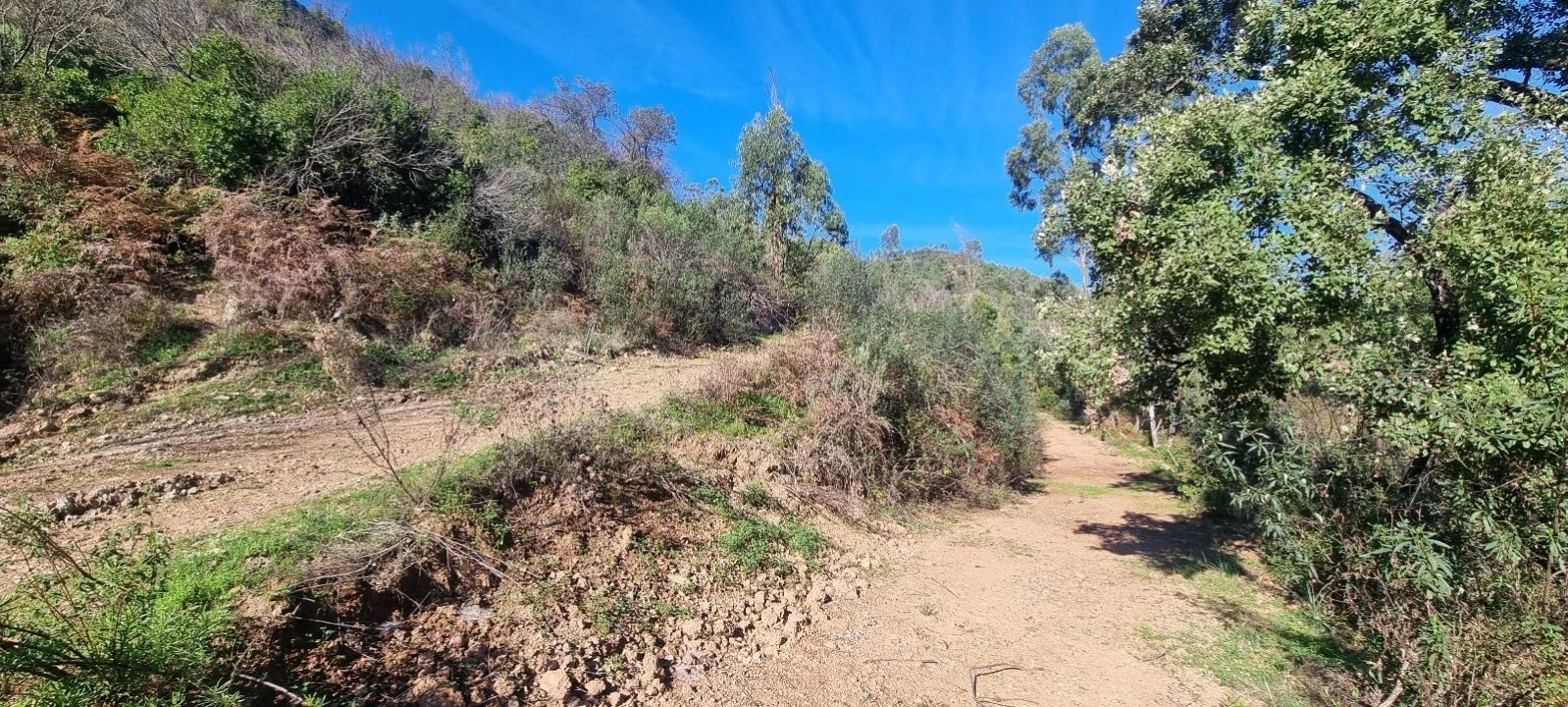 Terreno Agricola ou Rústico para Venda em Monchique Foto 3