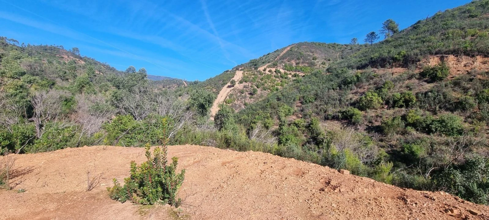 Terreno Agricola ou Rústico para Venda em Monchique Foto 4