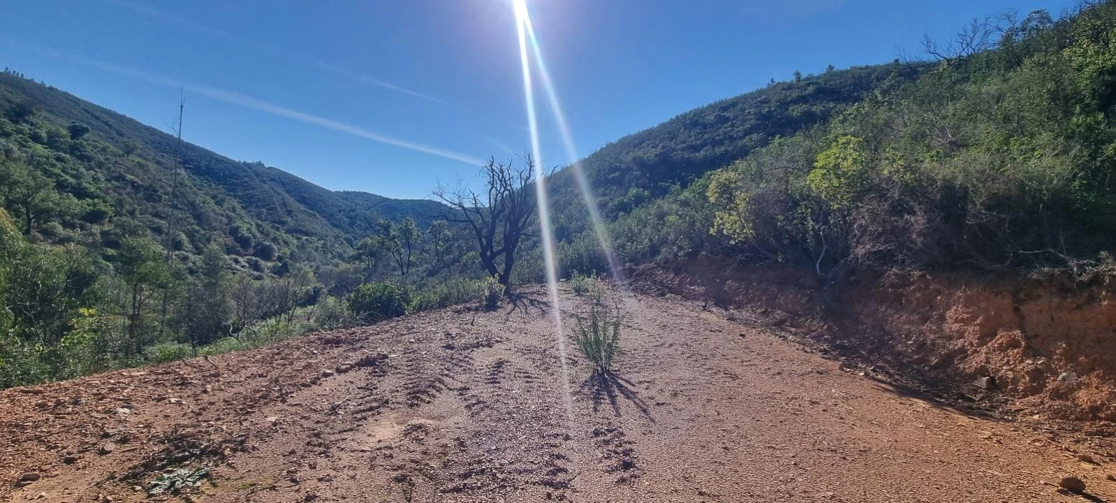 Terreno Agricola ou Rústico para Venda em Monchique Foto 5