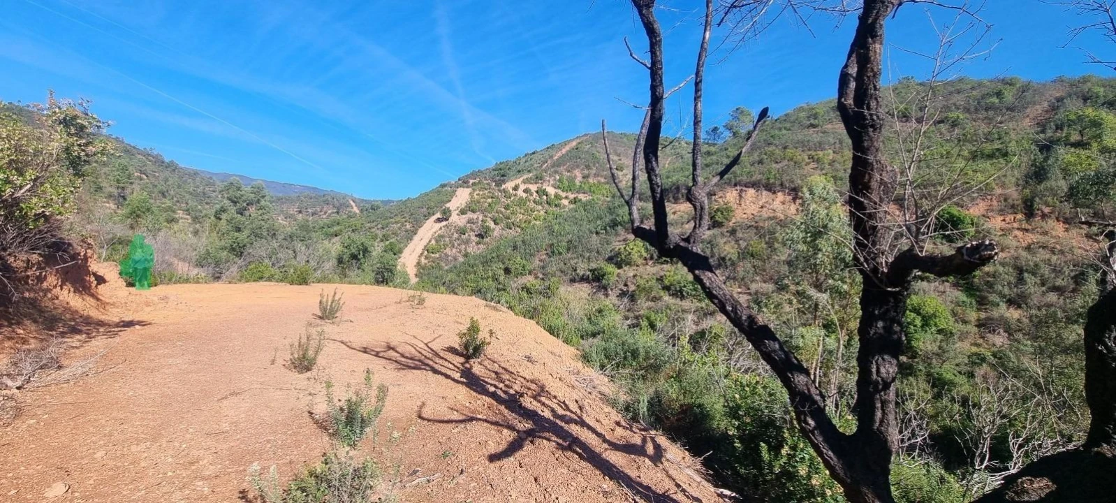 Terreno Agricola ou Rústico para Venda em Monchique Foto 9