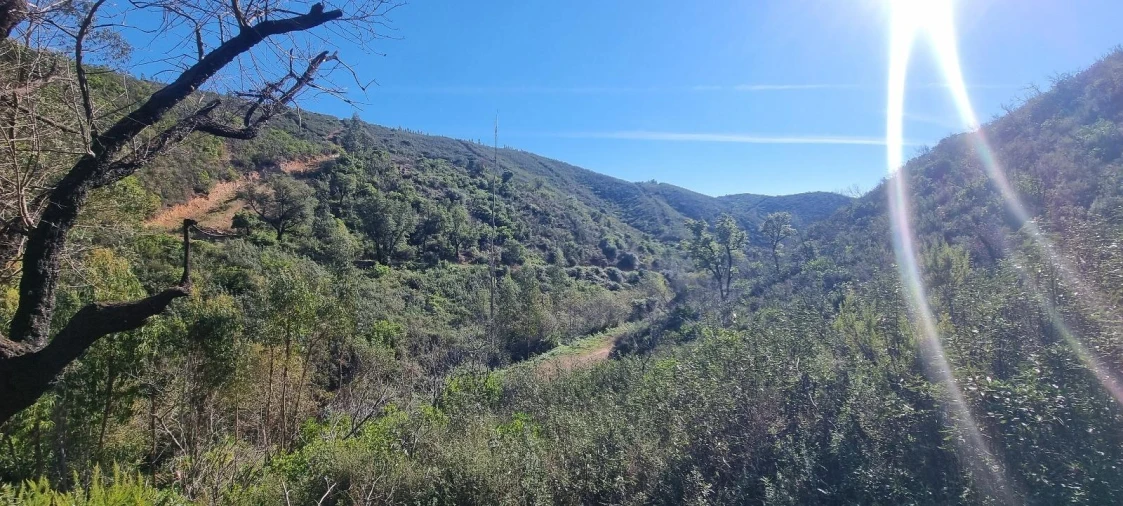 Terreno Agricola ou Rústico para Venda em Monchique Foto 10
