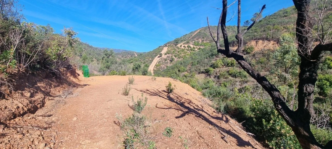 Terreno Agricola ou Rústico para Venda em Monchique Foto 11