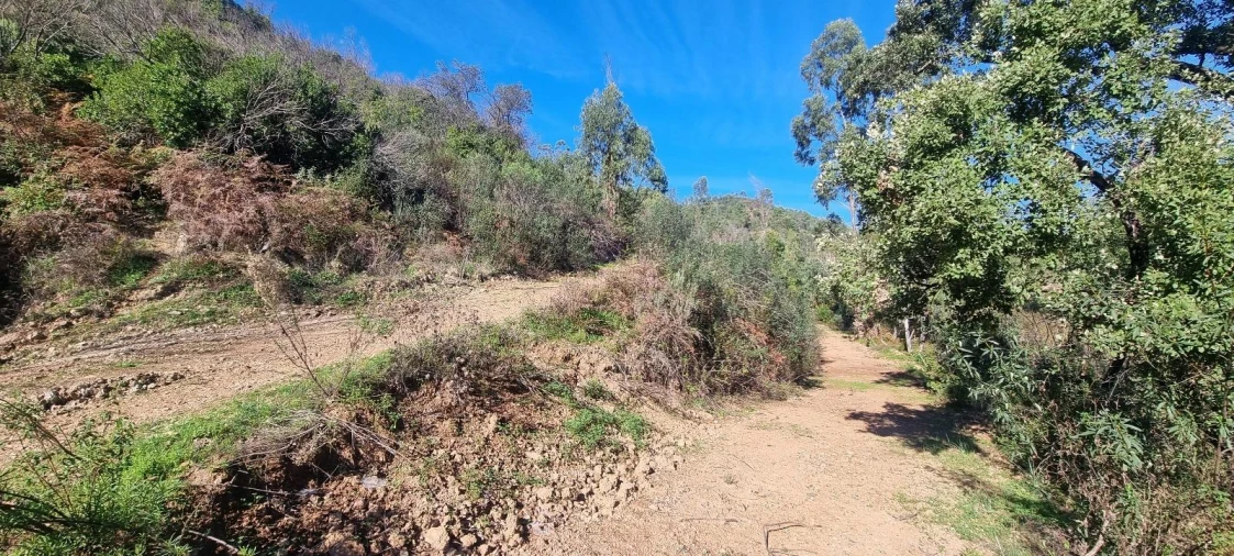 Terreno Agricola ou Rústico para Venda em Monchique Foto 3