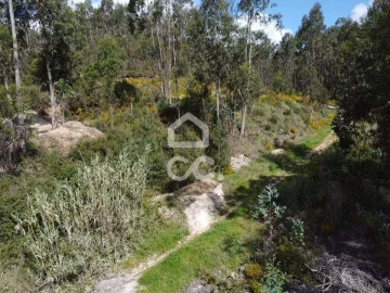 Terreno para Venda em Assafarge e Antanhol