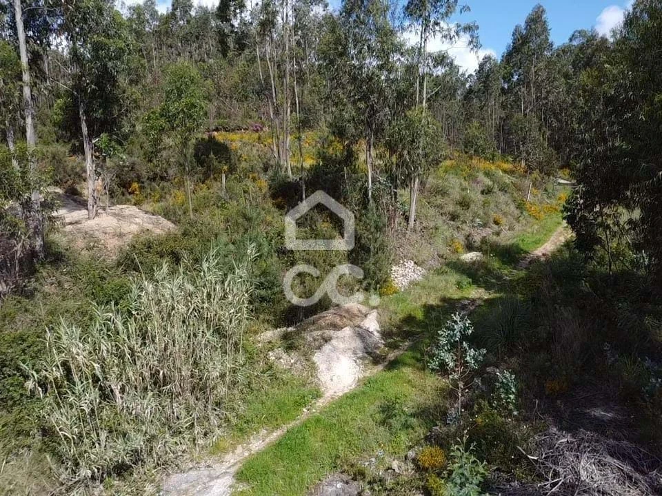 Terreno para Venda em Assafarge e Antanhol Foto 8