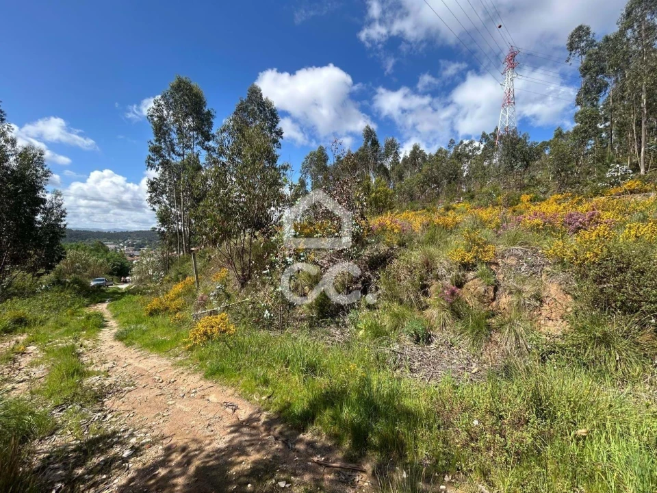 Terreno para Venda em Assafarge e Antanhol Foto 5