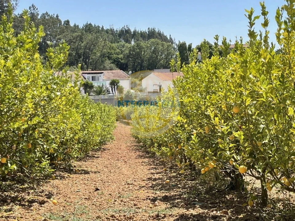 Moradia T7 para Venda em Alfeizerão Foto 15