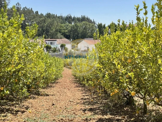 Moradia T7 para Venda em Alfeizerão Foto 15