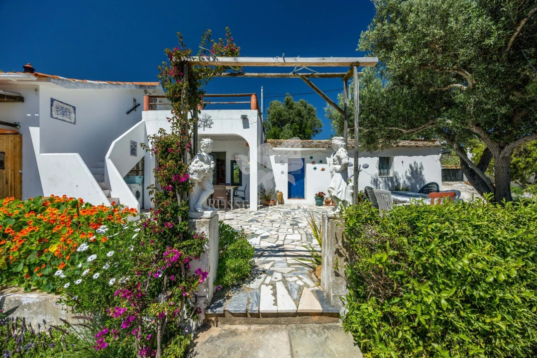 Quinta T3 para Venda em Olhão Foto 2