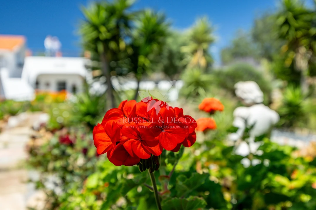 Quinta T3 para Venda em Olhão Foto 17