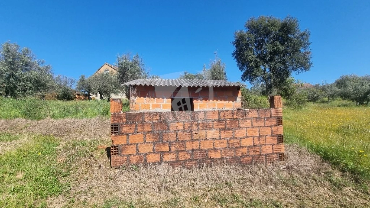 Terreno Agricola ou Rústico para Venda em Sarzedas Foto 19