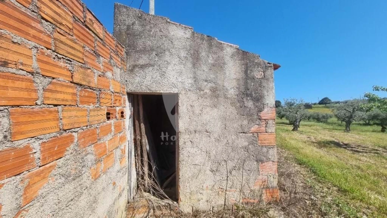 Terreno Agricola ou Rústico para Venda em Sarzedas Foto 8