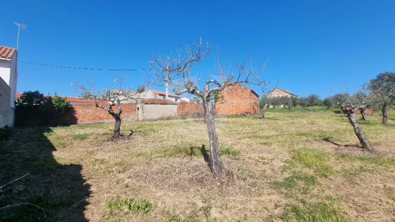 Terreno Agricola ou Rústico para Venda em Sarzedas Foto 5