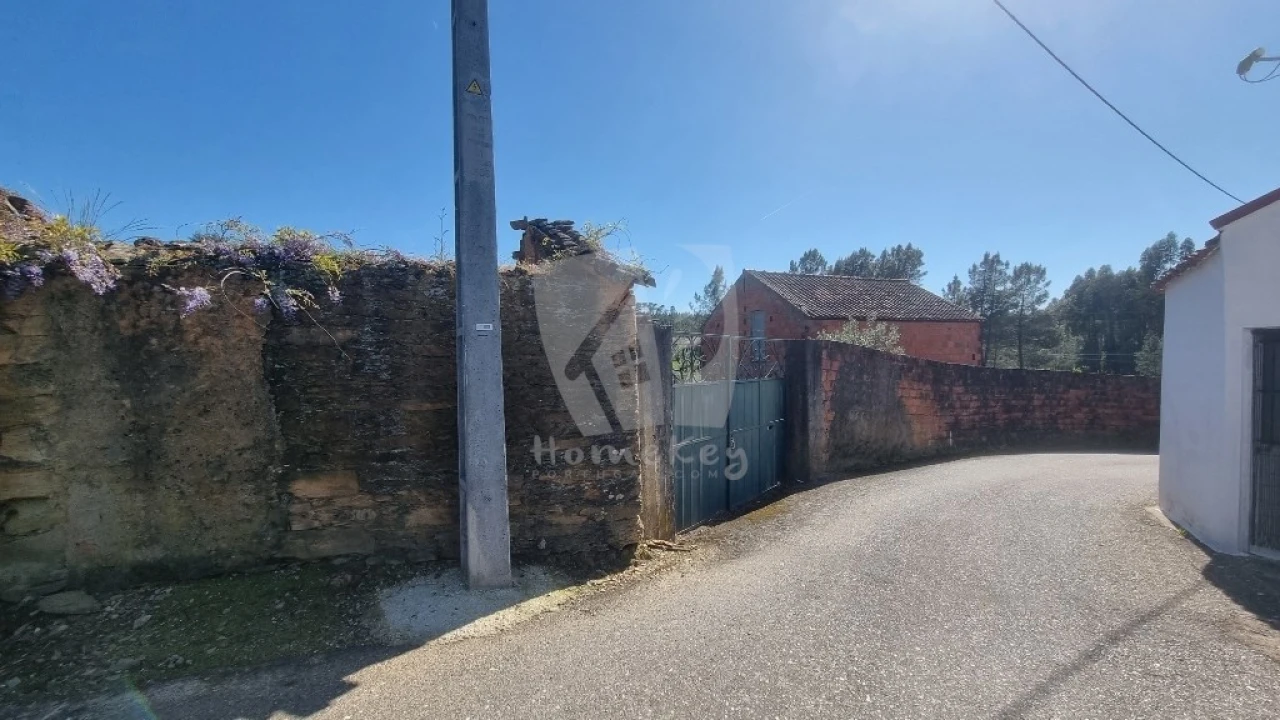 Terreno Agricola ou Rústico para Venda em Sarzedas Foto 26