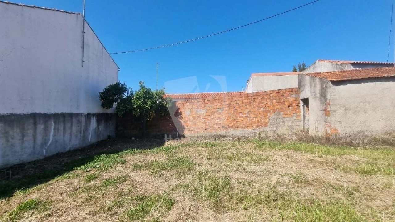 Terreno Agricola ou Rústico para Venda em Sarzedas Foto 7