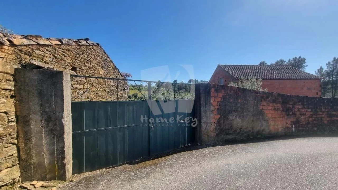 Terreno Agricola ou Rústico para Venda em Sarzedas Foto 24