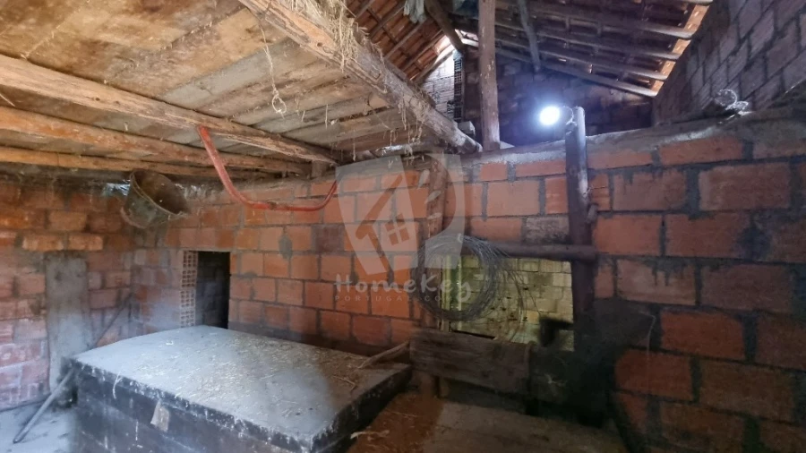 Terreno Agricola ou Rústico para Venda em Sarzedas Foto 14