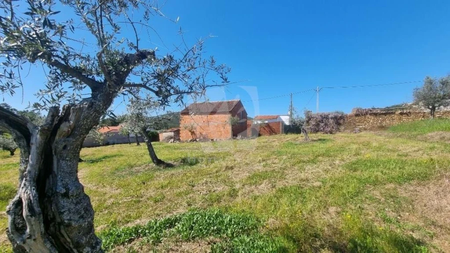 Terreno Agricola ou Rústico para Venda em Sarzedas Foto 2