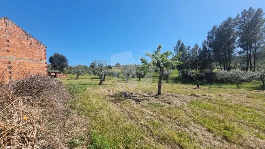 Terreno Agricola ou Rústico para Venda em Sarzedas Foto 11