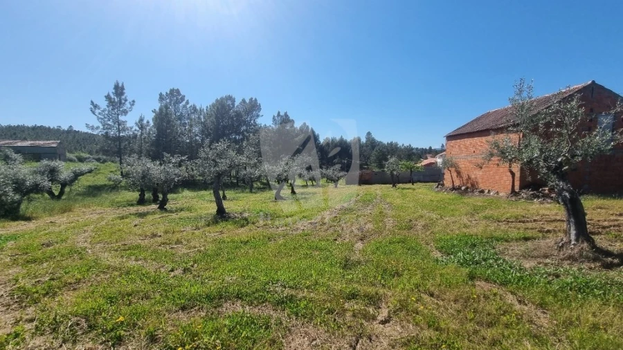 Terreno Agricola ou Rústico para Venda em Sarzedas