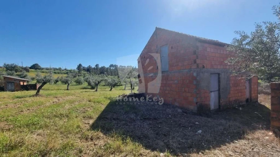 Terreno Agricola ou Rústico para Venda em Sarzedas Foto 21