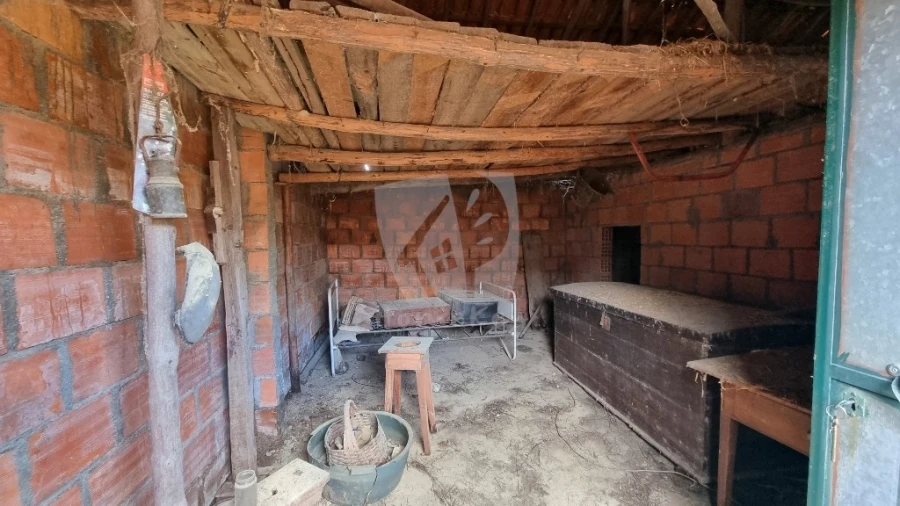 Terreno Agricola ou Rústico para Venda em Sarzedas Foto 15