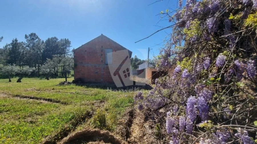 Terreno Agricola ou Rústico para Venda em Sarzedas Foto 22