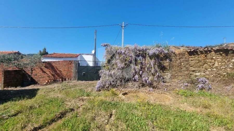 Terreno Agricola ou Rústico para Venda em Sarzedas Foto 23