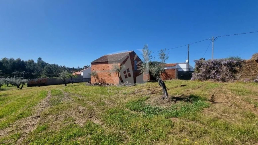 Terreno Agricola ou Rústico para Venda em Sarzedas Foto 20
