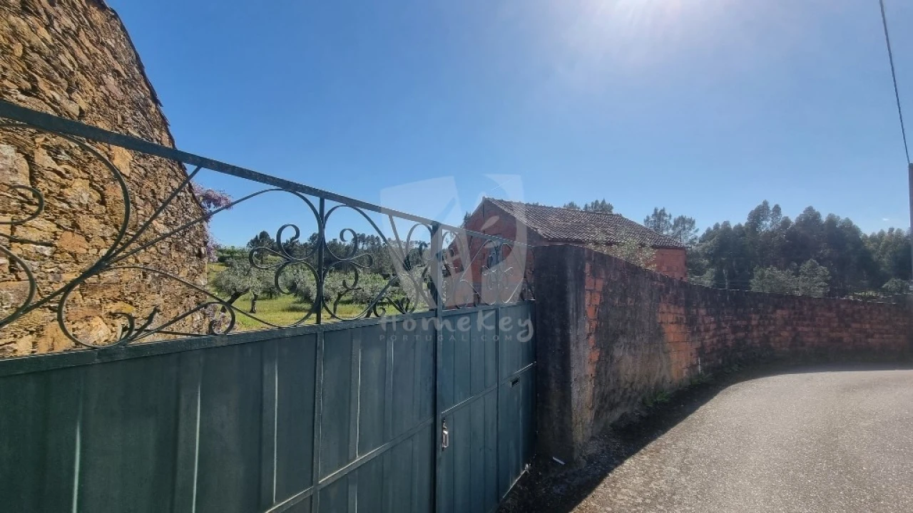 Terreno Agricola ou Rústico para Venda em Sarzedas Foto 25