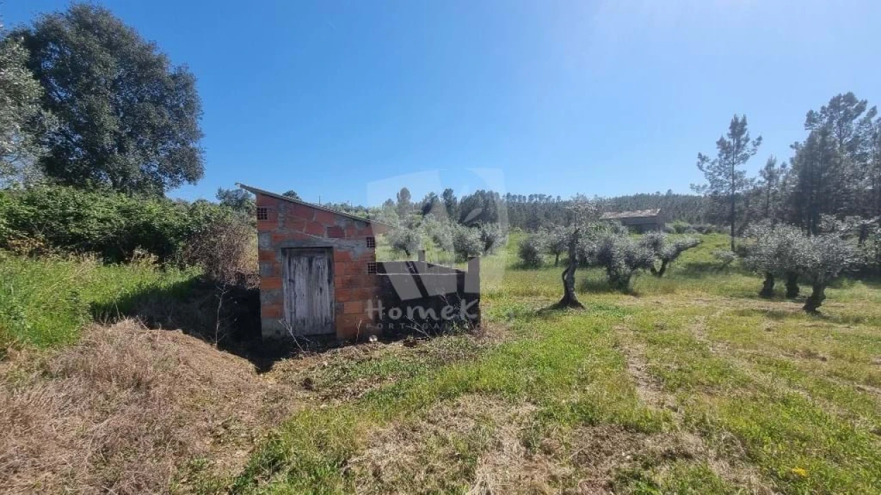 Terreno Agricola ou Rústico para Venda em Sarzedas Foto 18