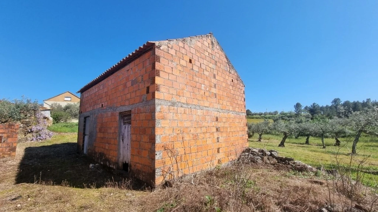 Terreno Agricola ou Rústico para Venda em Sarzedas Foto 12