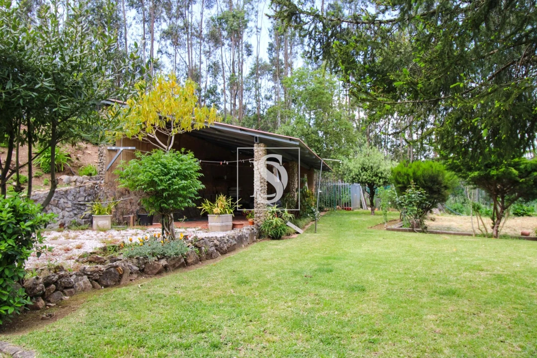 Moradia T3 para Venda em Ossela Foto 4