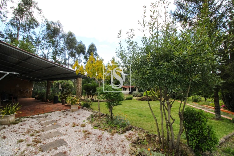 Moradia T3 para Venda em Ossela Foto 13