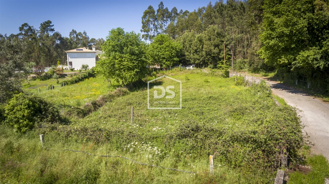 Terreno para Venda em Canedo, Vale e Vila Maior Foto 5