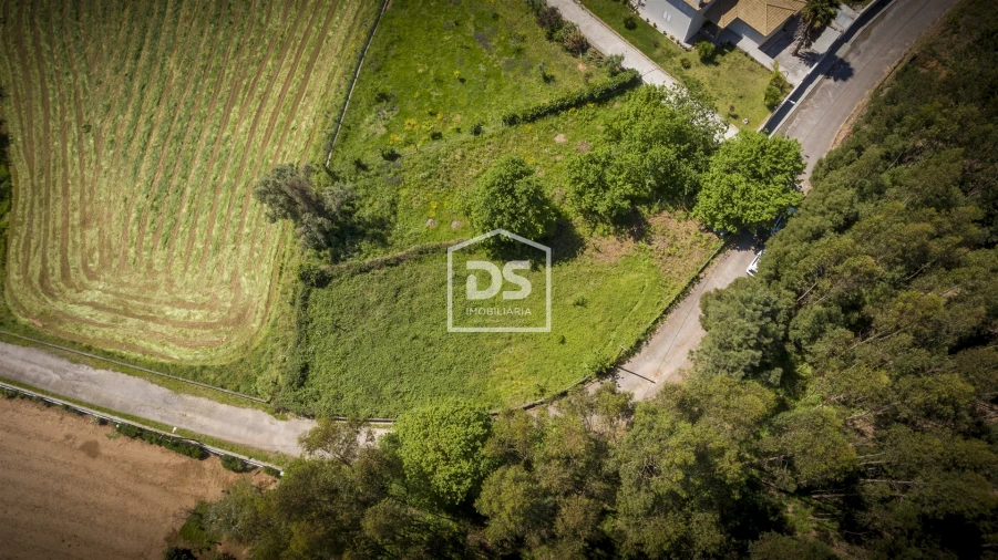 Terreno para Venda em Canedo, Vale e Vila Maior Foto 1