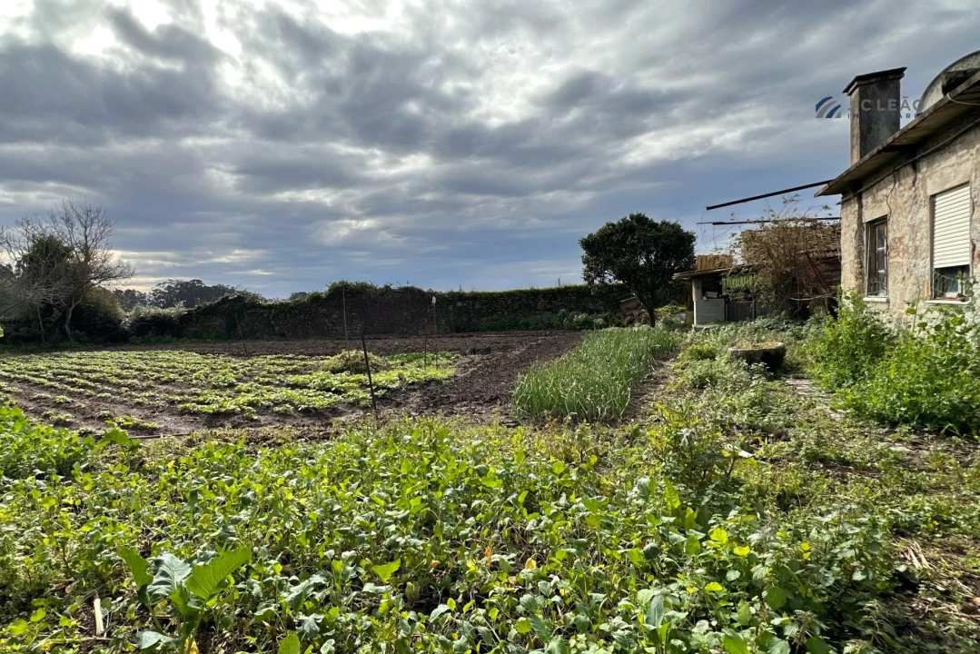 Moradia T3 para Venda em Gião Foto 53