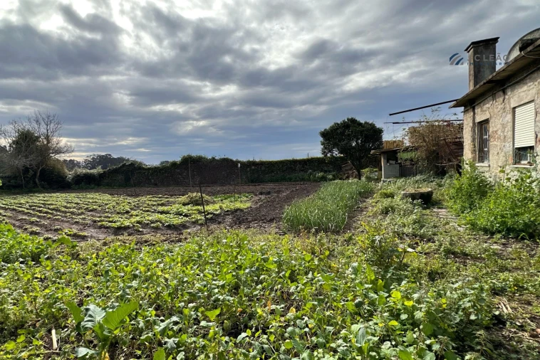 Moradia T3 para Venda em Gião Foto 53