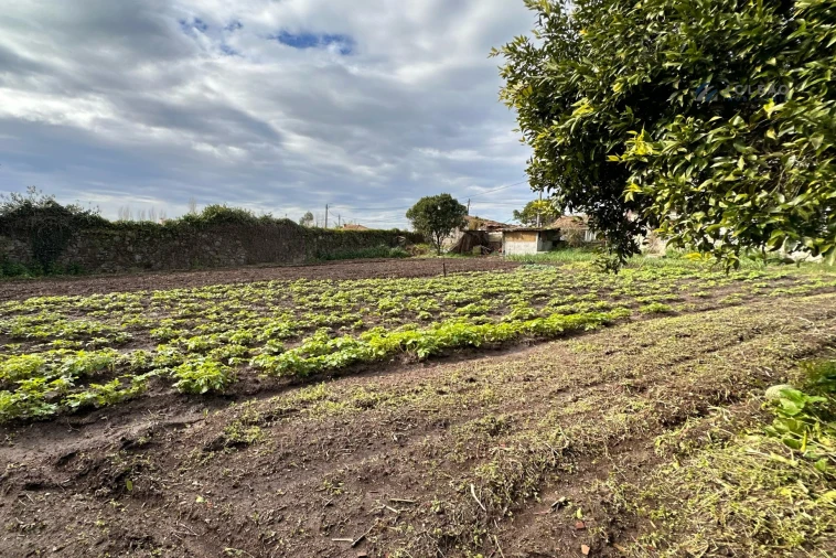Moradia T3 para Venda em Gião Foto 66
