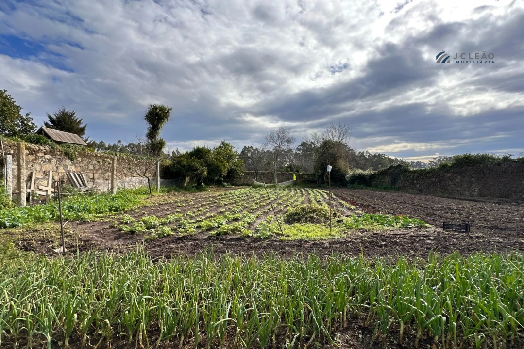 Moradia T3 para Venda em Gião Foto 64