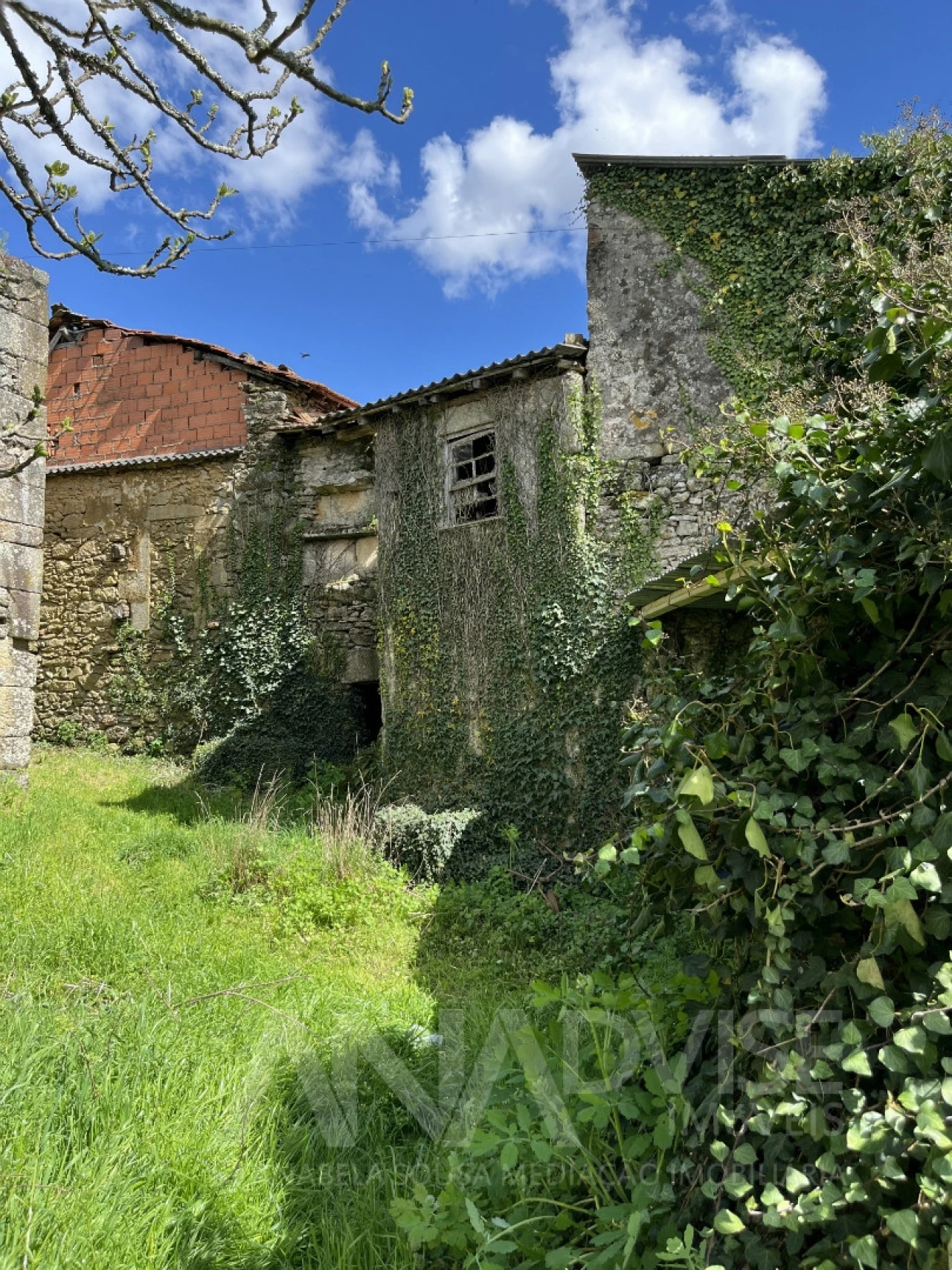 Moradia T3 para Venda em Satão Foto 1