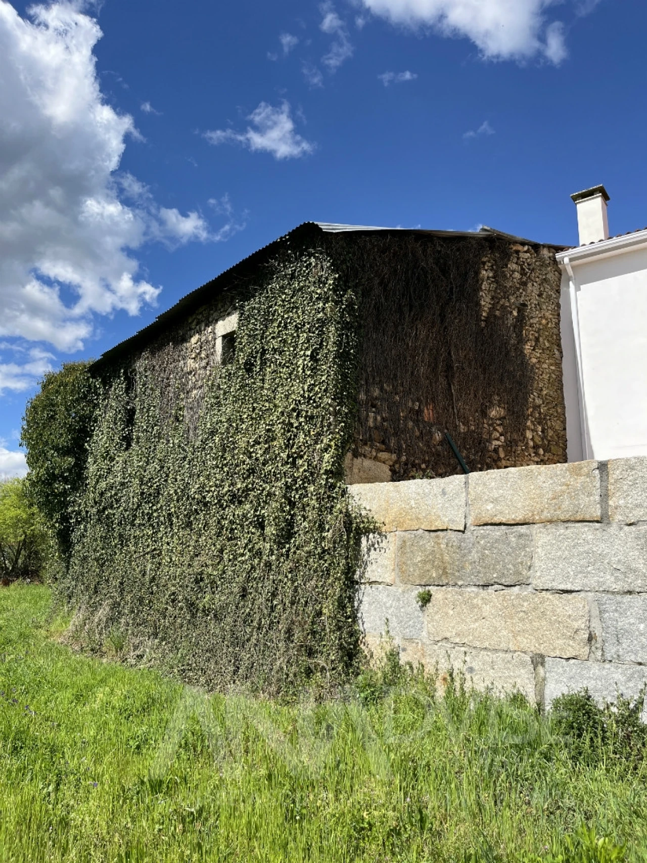 Moradia T3 para Venda em Satão Foto 25