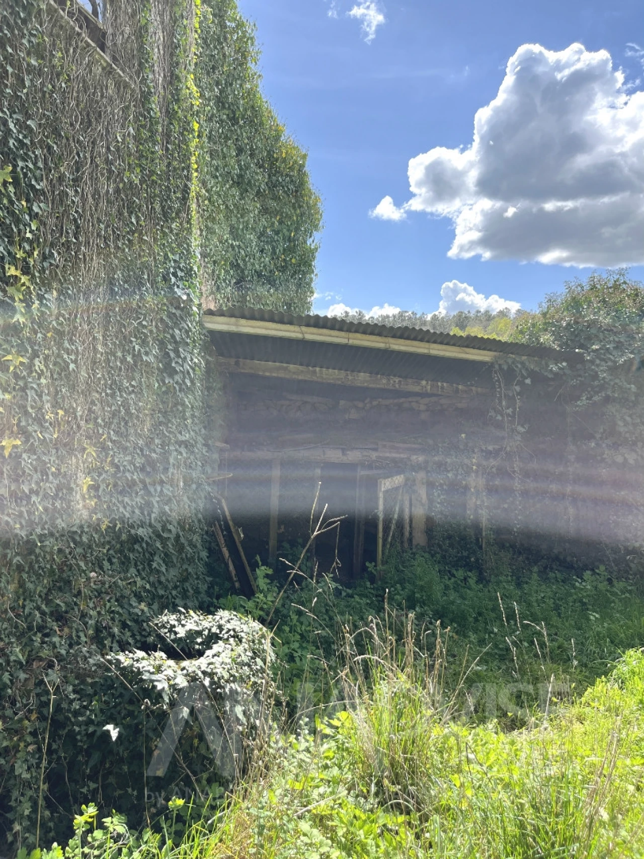 Moradia T3 para Venda em Satão Foto 21