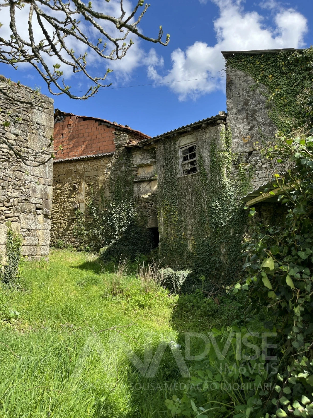 Moradia T3 para Venda em Satão Foto 3