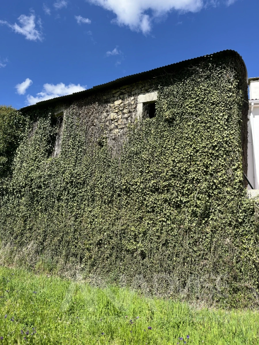 Moradia T3 para Venda em Satão Foto 2