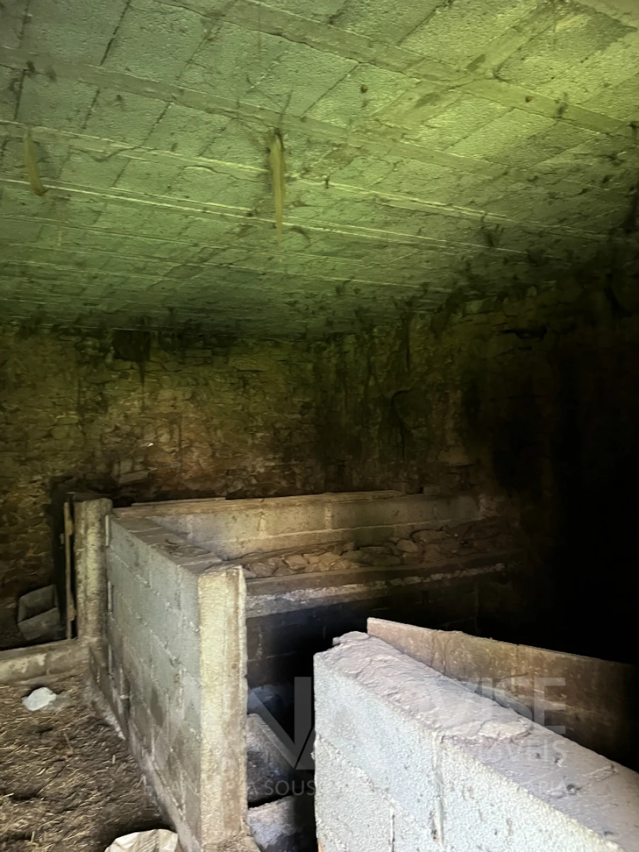 Moradia T3 para Venda em Satão Foto 23