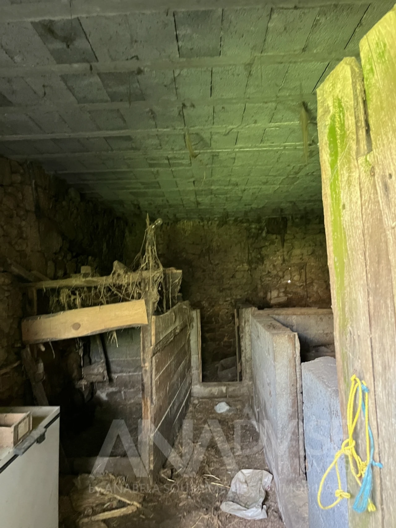 Moradia T3 para Venda em Satão Foto 22