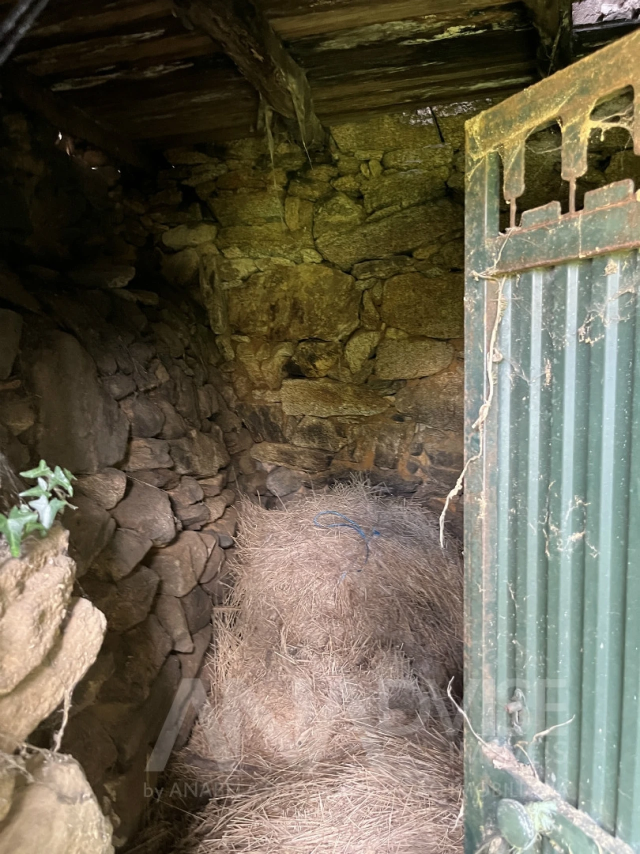 Moradia T3 para Venda em Satão Foto 20